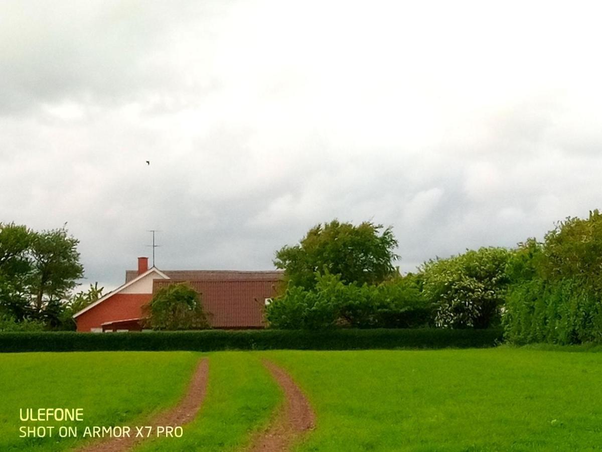 Lilleledgaard Country House Ringkøbing Zewnętrze zdjęcie